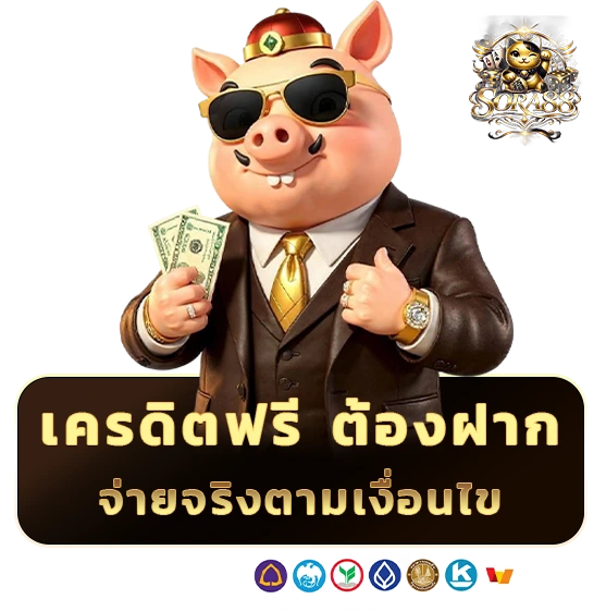 sora 88 เครดิตฟรี